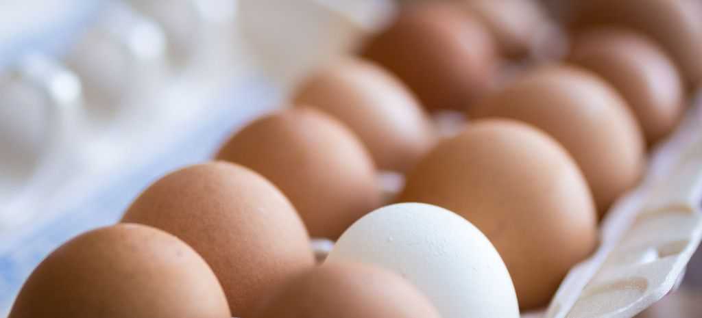 Una selección de huevos frescos de color blanco y marrón dispuestos en una bandeja en un fondo rústico, ilustrando el tema principal del artículo: la producción de huevo en México